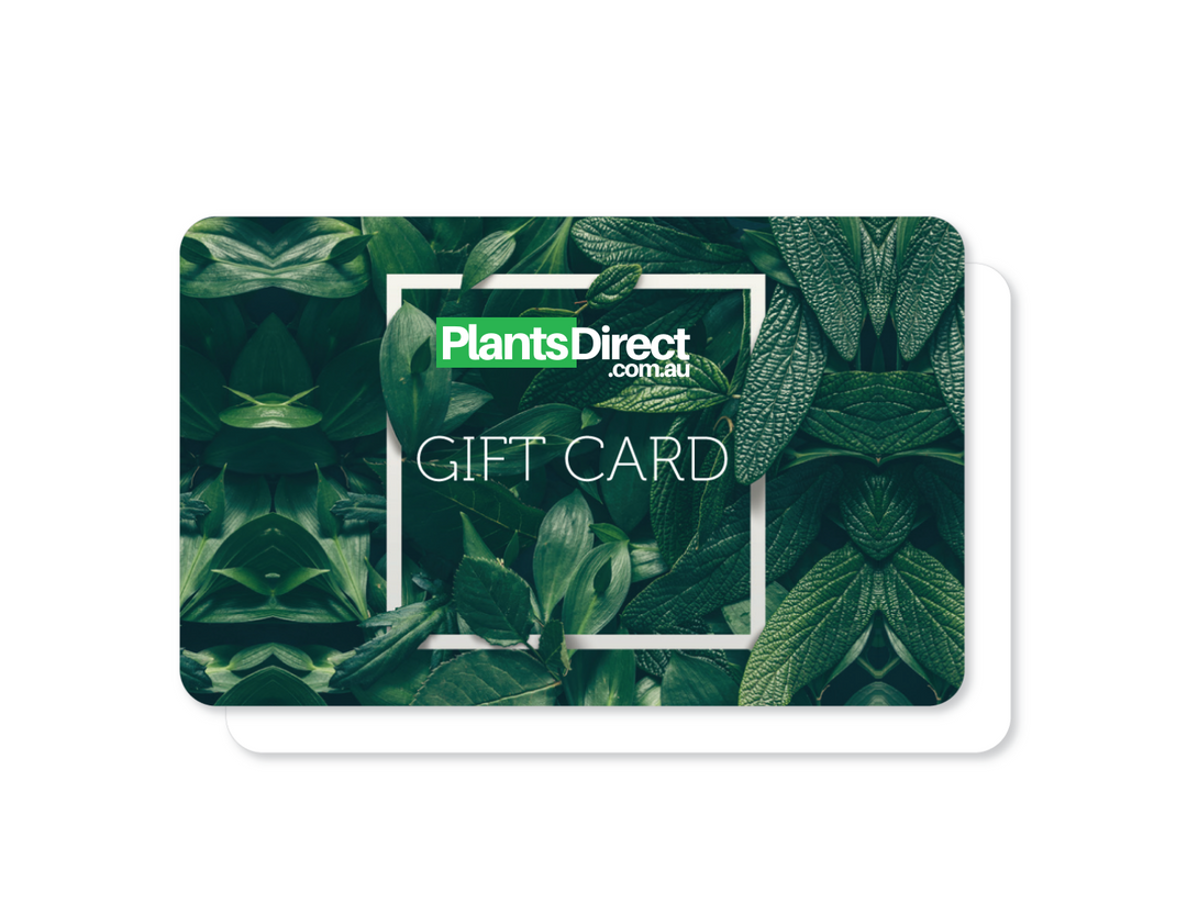 Plants Direct Gift Cards