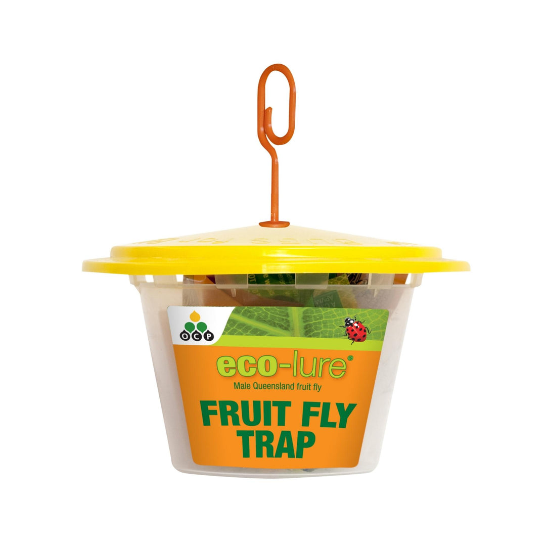 Eco-Lure Fruit Fly Trap Eco-Organic - 6 Pack
