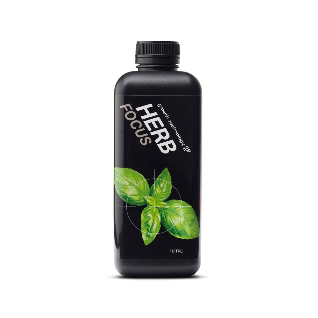 GT Herb Focus 1L
