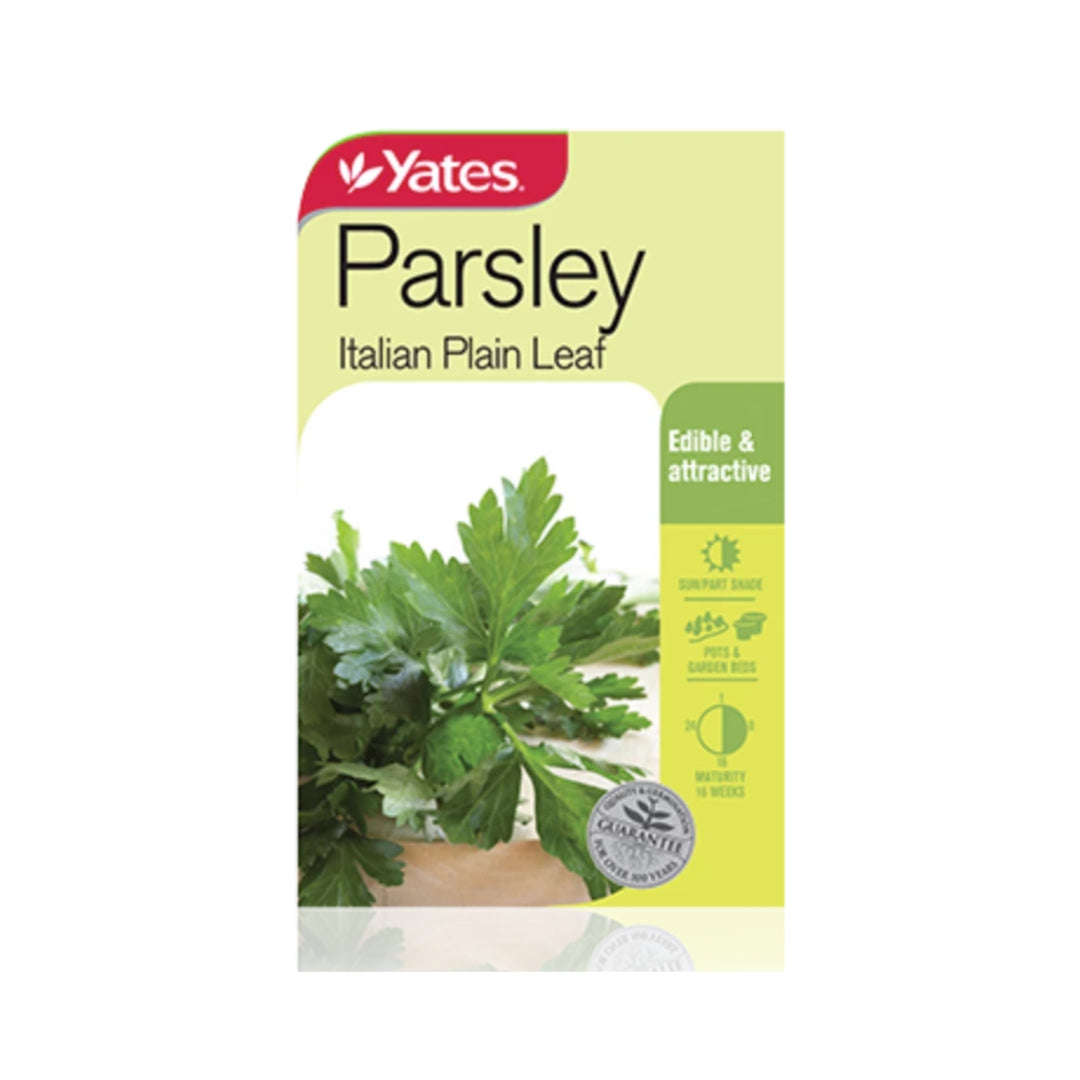 Italian Parsley Plain Leaf - Plant Seeds