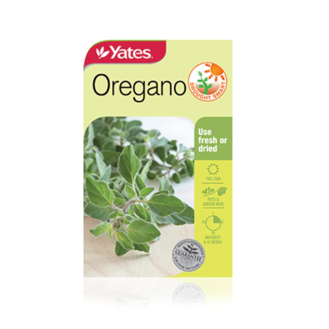 Oregano - Plant Seeds
