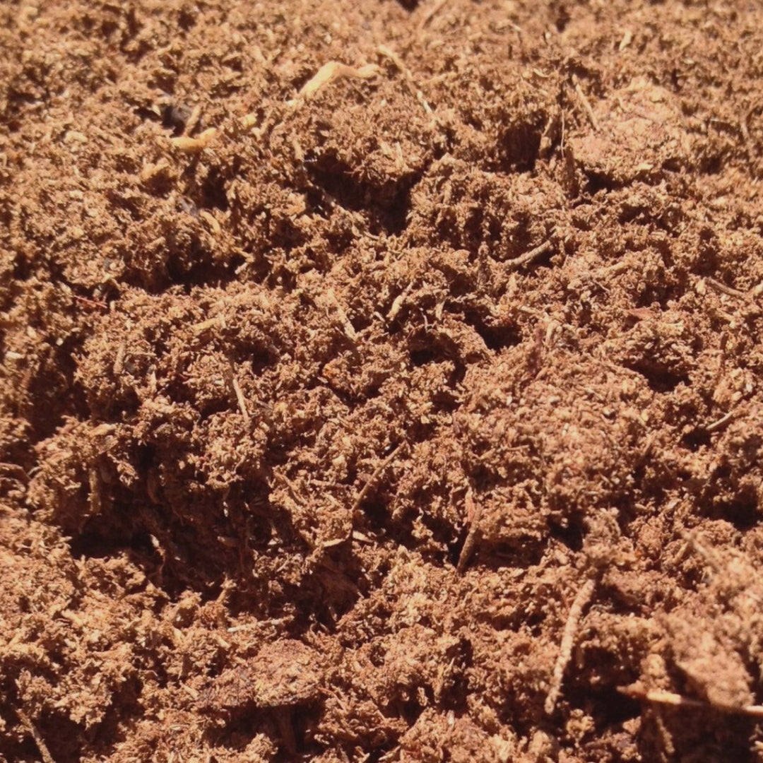 Peat Moss Soil Mix