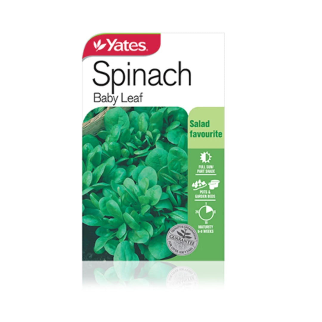 Spinach 'Baby Leaf' Vegetable Seeds