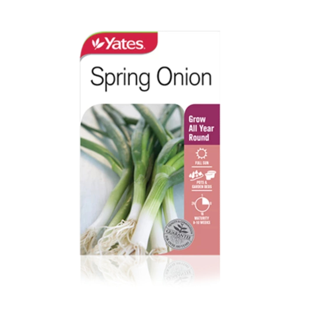 Spring Onion Vegetable Seeds