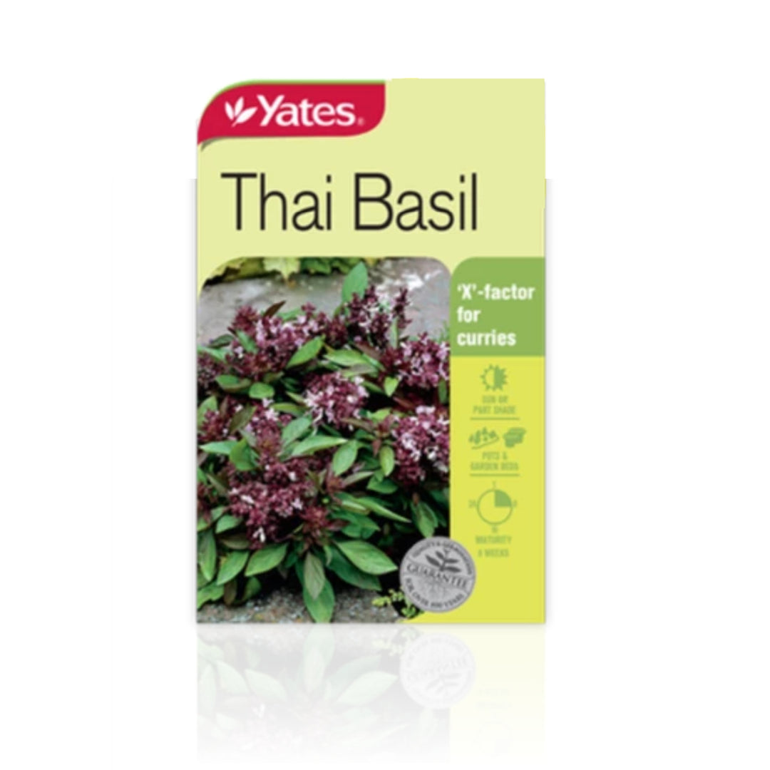 Thai Basil - Plant Seeds