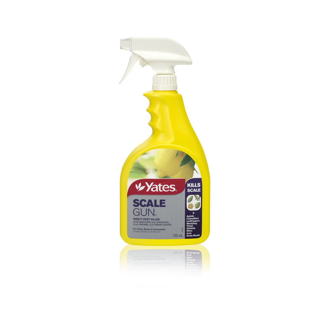 Yates Scale Gun Insect Pest Killer Ready To Use - 750ml